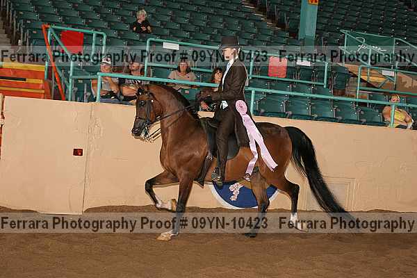 Proof 09yn-10423
