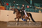 09yn-10423 proof