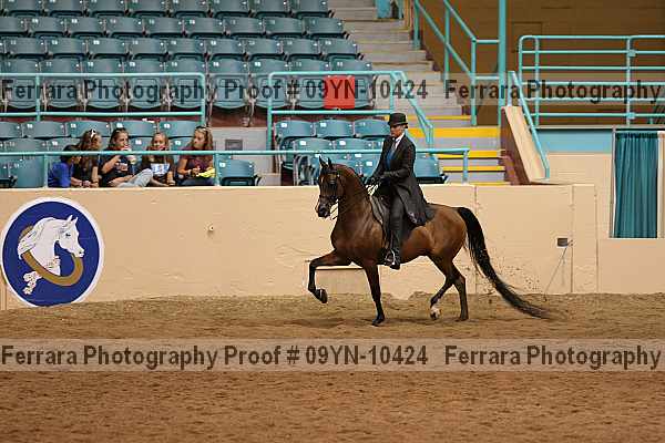 Proof 09yn-10424