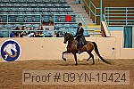 09yn-10424 proof