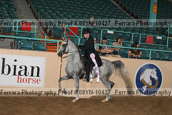 Proof 09yn-10427