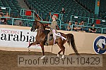 09yn-10429 proof