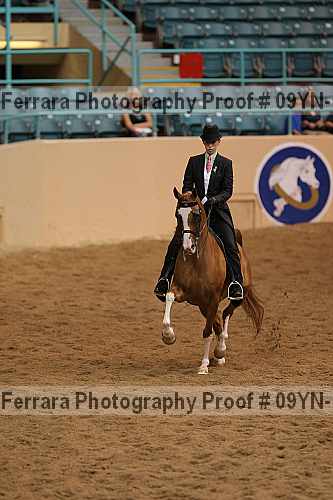Proof 09yn-10431