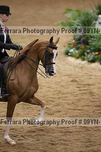 Proof 09yn-10434