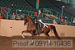 09yn-10435 proof