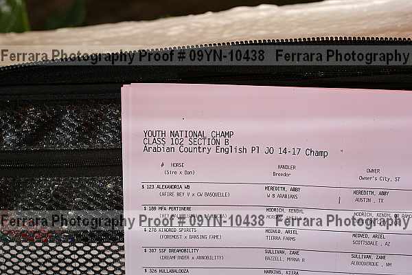 Proof 09yn-10438