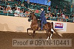 09yn-10441 proof