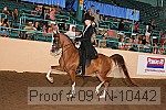 09yn-10442 proof