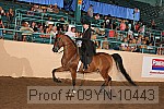 09yn-10443 proof