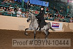 09yn-10444 proof