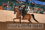 09yn-10445 proof