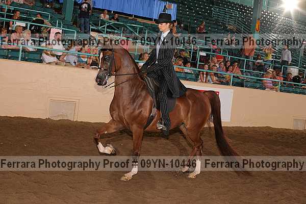 Proof 09yn-10446