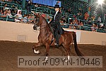 09yn-10446 proof