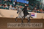 09yn-10447 proof