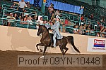 09yn-10448 proof