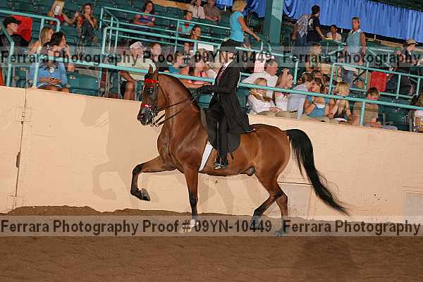 Proof 09yn-10449
