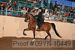 09yn-10449 proof