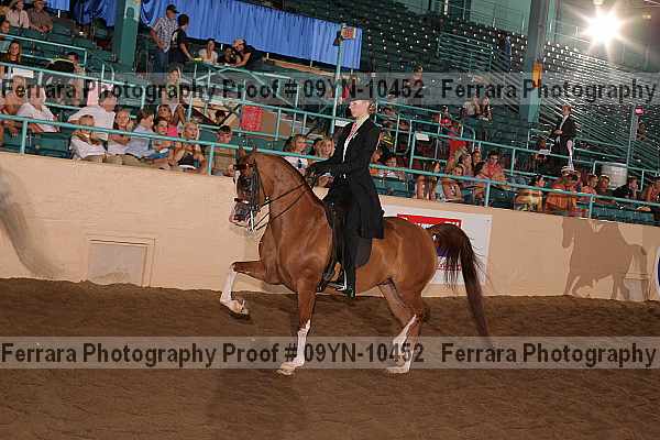 Proof 09yn-10452