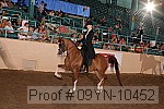09yn-10452 proof