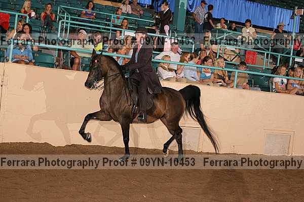 Proof 09yn-10453