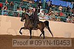 09yn-10453 proof