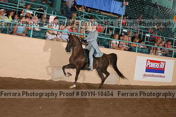 Proof 09yn-10454