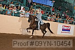 09yn-10454 proof