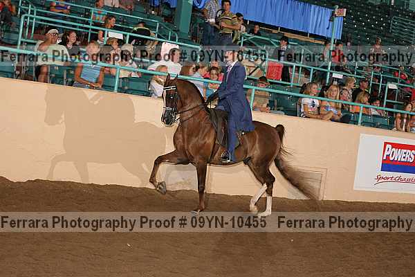 Proof 09yn-10455