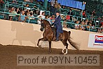 09yn-10455 proof
