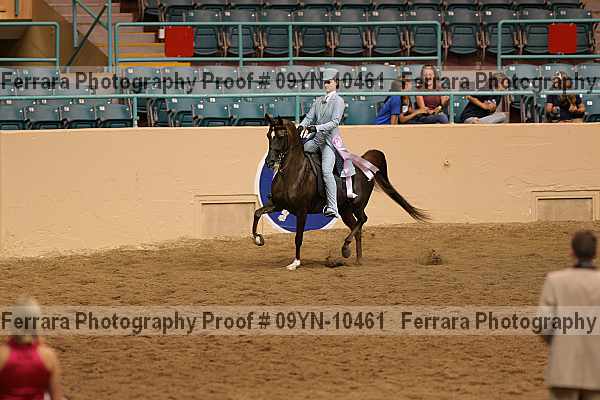 Proof 09yn-10461