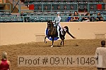 09yn-10461 proof