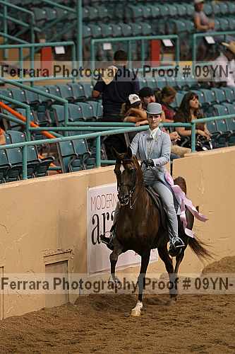 Proof 09yn-10462