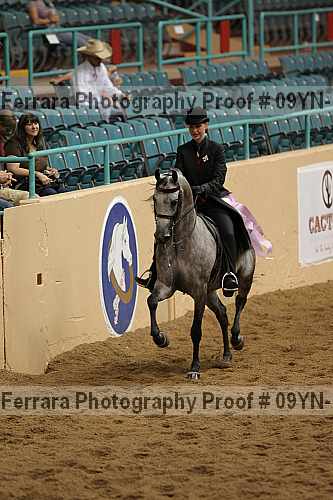 Proof 09yn-10469