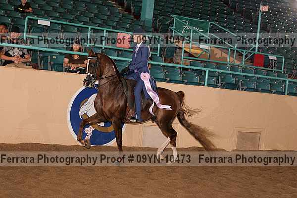 Proof 09yn-10473