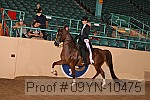 09yn-10475 proof