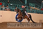 09yn-10477 proof