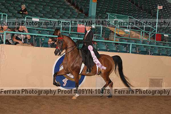 Proof 09yn-10478