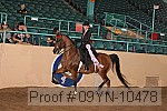 09yn-10478 proof