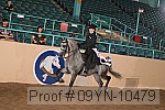 09yn-10479 proof