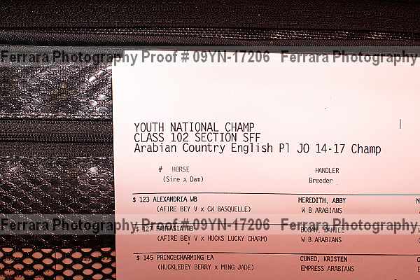 Proof 09yn-17206