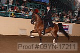 09yn-17211 proof