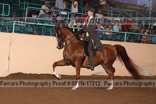 Proof 09yn-17212