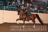 09yn-17212 proof