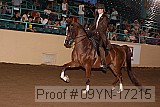 09yn-17215 proof