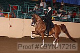 09yn-17216 proof