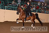 09yn-17217 proof