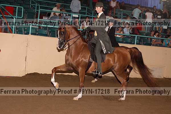 Proof 09yn-17218