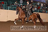 09yn-17218 proof