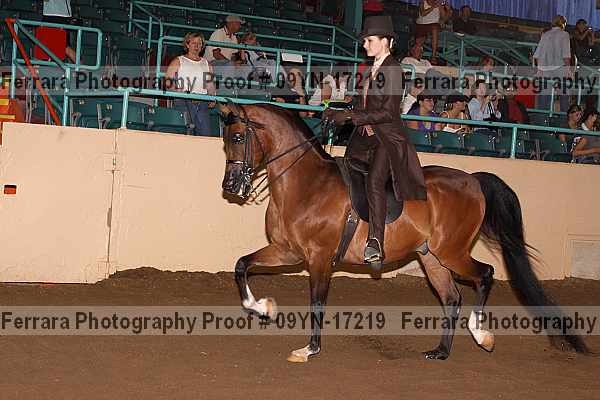 Proof 09yn-17219