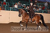 09yn-17219 proof